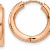 LooptyHoops 14K Gold Hinged Endless Round Huggie Hoop Earrings | Earrings