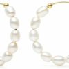 COMOTO Pearl Hoop Earrings For Women 14K Gold Filled White Small Freshwater Cultured Real Pearl Hoop Earrings Comoto Jewelry | Earrings